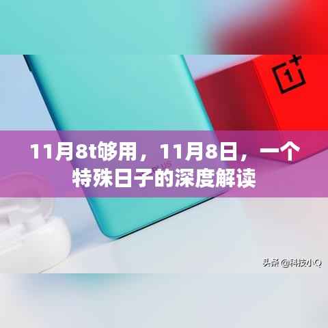 特殊日子深度解读,11月8日的含义与影响