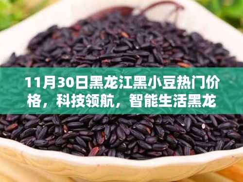 黑龙江黑小豆热门价格升级,科技领航,引领智能生活新潮流!
