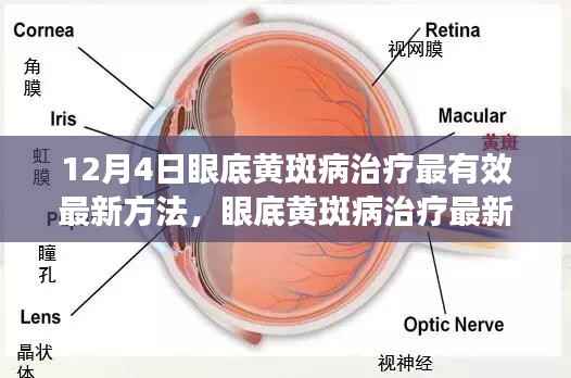 夜以继日 第5页