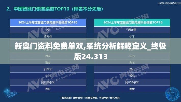 新奥门资料免费单双,系统分析解释定义_终极版24.313