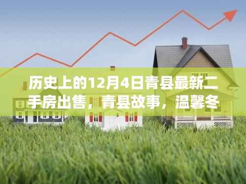 温馨冬日里的家园纽带，青县二手房之旅与故事回顾