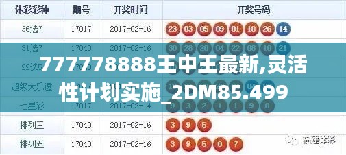 777778888王中王最新,灵活性计划实施_2DM85.499