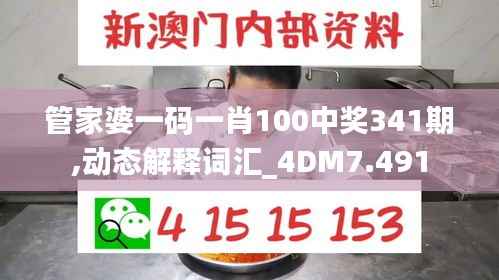 管家婆一码一肖100中奖341期,动态解释词汇_4DM7.491