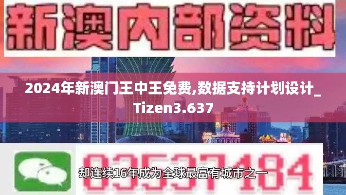 2024年新澳门王中王免费,数据支持计划设计_Tizen3.637