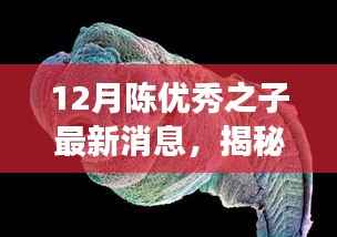 揭秘陈优秀之子,最新动态与成长轨迹,十二月最新消息速递