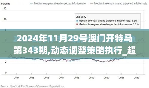 2024年11月29号澳门开特马第343期,动态调整策略执行_超值版110.230