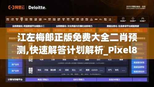 江左梅郎正版免费大全二肖预测,快速解答计划解析_Pixel8.610