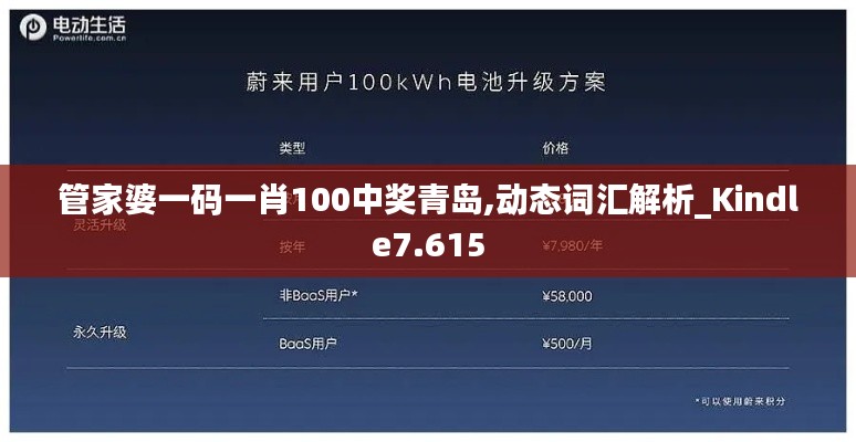 管家婆一码一肖100中奖青岛,动态词汇解析_Kindle7.615