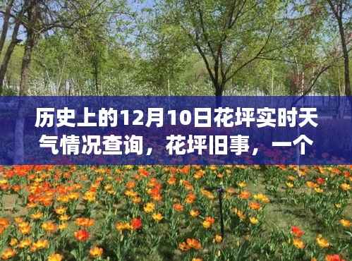 十二月十日花坪旧事,历史天气查询与温馨回忆