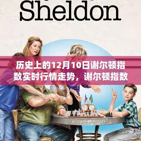 历史上的谢尔顿指数走势回顾，温情时光下的友情与陪伴故事
