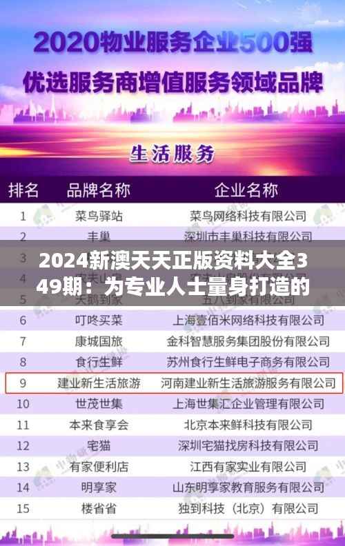 2024新澳天天正版资料大全349期:为专业人士量身打造的资源宝库