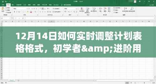 12月14日实时调整计划表格格式,初学者与进阶用户详细指南