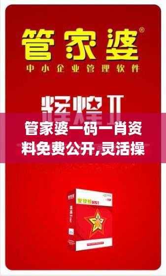 管家婆一码一肖资料免费公开,灵活操作方案设计_精装版5.981