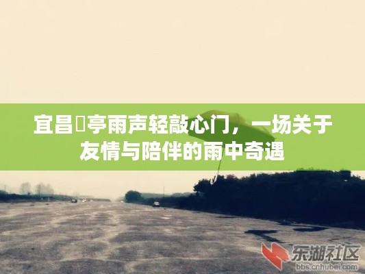 雨中奇遇,宜昌猇亭的友情与陪伴