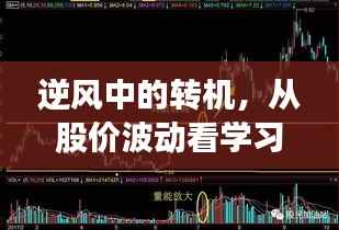 逆风中的转机,股价波动揭示学习与变化的力量