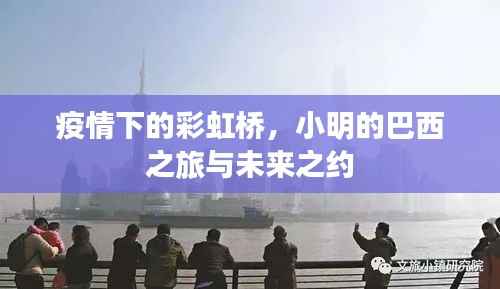 疫情下的彩虹桥,小明的巴西之旅与未来展望