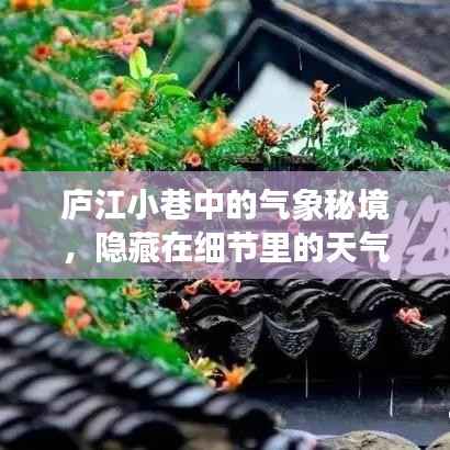 庐江小巷气象秘境,隐藏在细节中的天气宝藏
