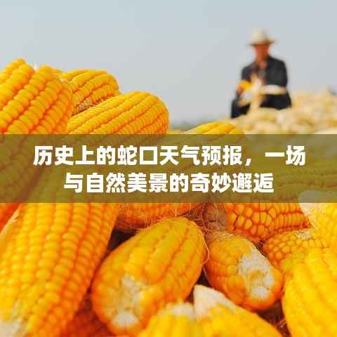 蛇口天气预报揭秘,与自然美景的奇妙邂逅