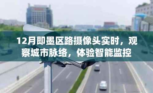 下里巴人 第3页