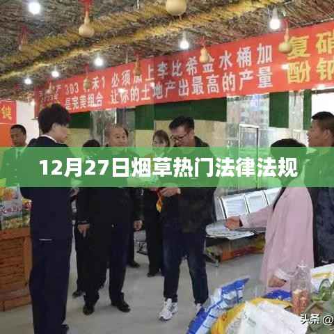 烟草热门法律法规解读,最新规定与趋势分析