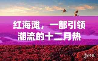 红海滩,十二月潮流引领者的热门电视剧
