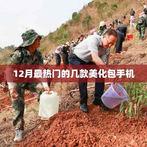 夫荣妻贵 第3页