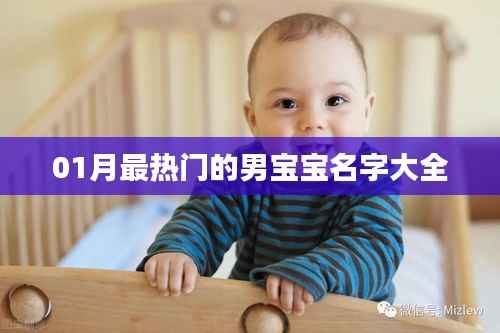 公司概况 第228页