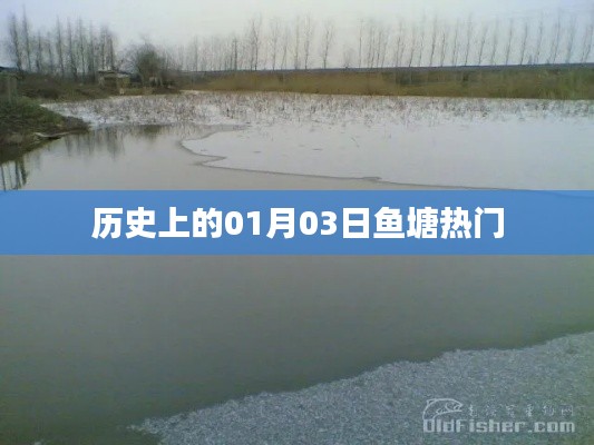 历史上的鱼塘热门事件,一月三日回顾