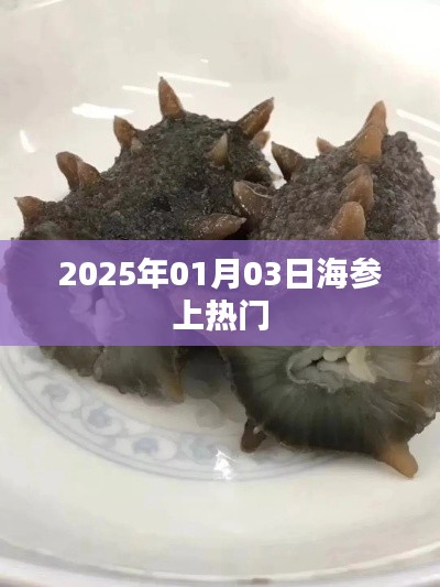 海参热潮,揭秘背后的故事,探寻美食新趋势