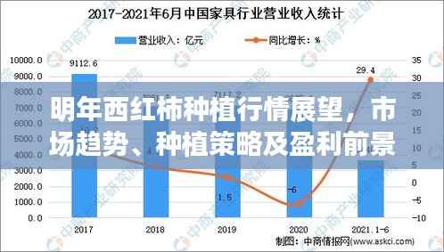 张张屈屈 第3页