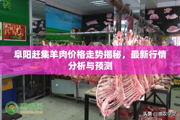 阜阳赶集羊肉价格走势揭秘,最新行情分析与预测
