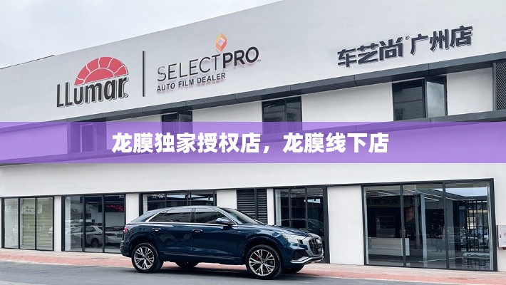 龙膜独家授权店,龙膜线下店