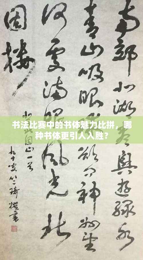 书法比赛中的书体魅力比拼,哪种书体更引人入胜?