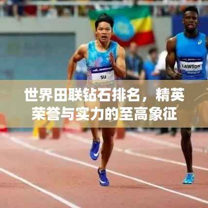 世界田联钻石排名,精英荣誉与实力的至高象征