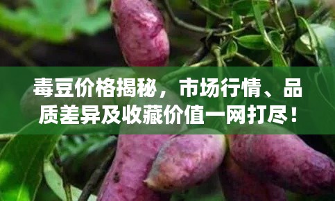 夫贵妻荣 第3页