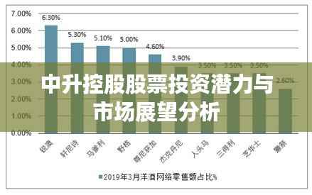中升控股股票投资潜力与市场展望分析