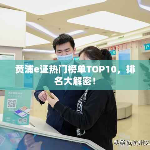 黄浦e证热门榜单TOP10，排名大解密！