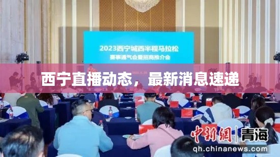 自作主张 第3页