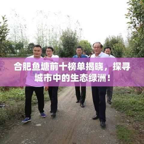 合肥鱼塘前十榜单揭晓,探寻城市中的生态绿洲!