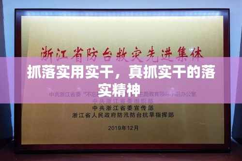 抓落实用实干,真抓实干的落实精神