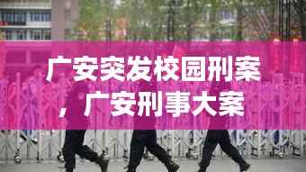 广安突发校园刑案,广安刑事大案