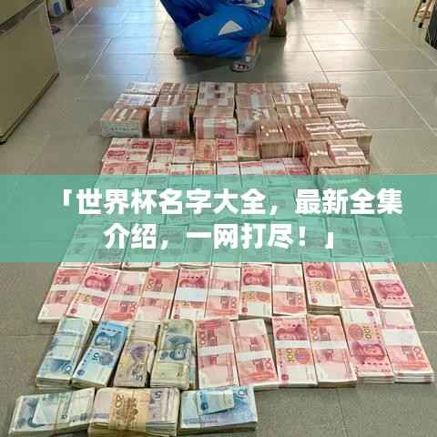 「世界杯名字大全,最新全集介绍,一网打尽!」