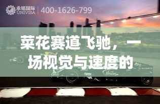 菜花赛道飞驰,一场视觉与速度的盛宴