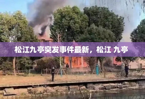 松江九亭突发事件最新,松江 九亭