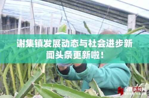 谢集镇发展动态与社会进步新闻头条更新啦！