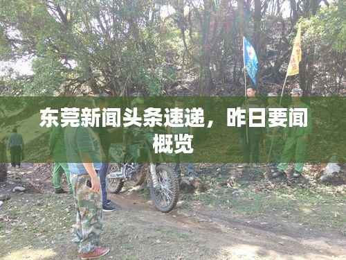 东莞新闻头条速递,昨日要闻概览