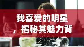 我喜爱的明星,揭秘其魅力背后的故事