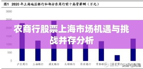 农商行股票上海市场机遇与挑战并存分析