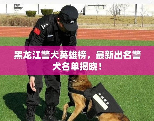 黑龙江警犬英雄榜,最新出名警犬名单揭晓!