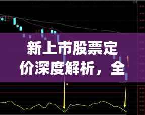 公司概况 第114页